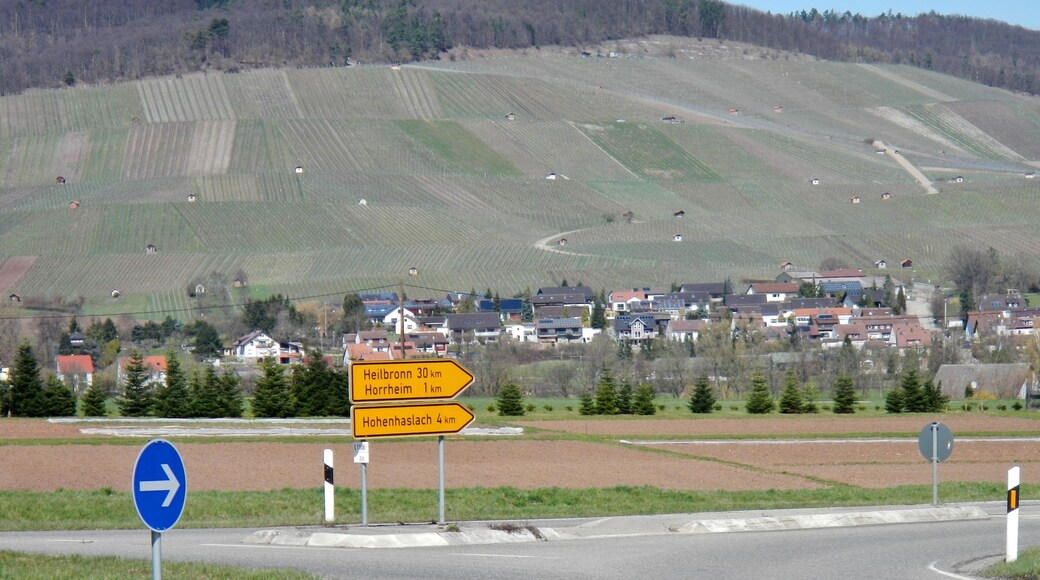 Ausblick über Horrheim zum Weinberg