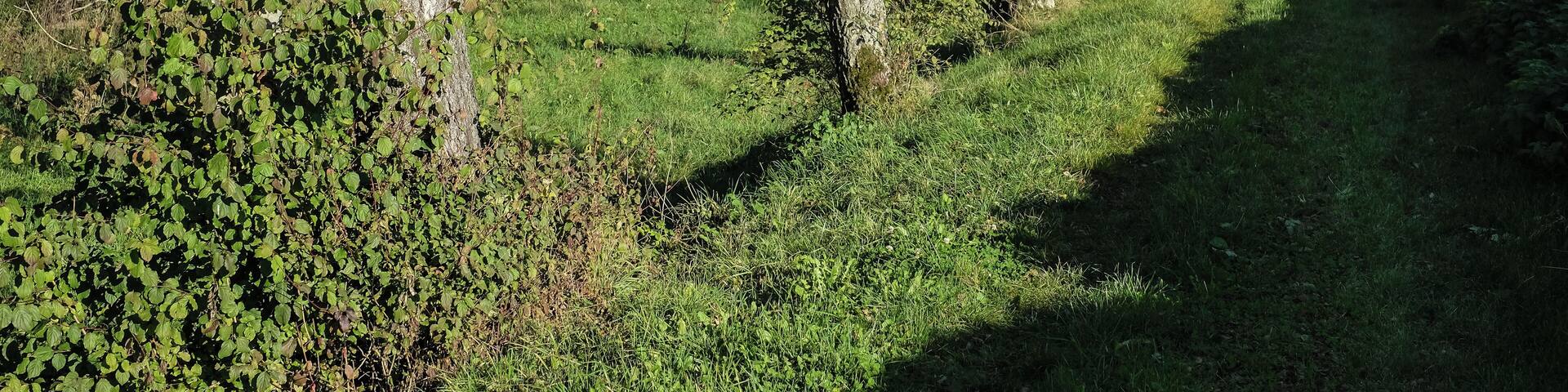 Deggenhausertal, district Bodenseekreis, Baden-Württemberg, Germany