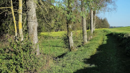 Deggenhausertal, district Bodenseekreis, Baden-Württemberg, Germany