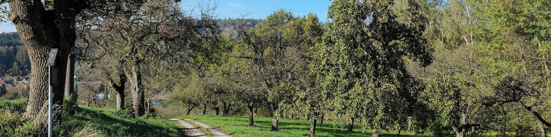 Deggenhausertal, Franziskusweg, district Bodenseekreis, Baden-Württemberg, Germany