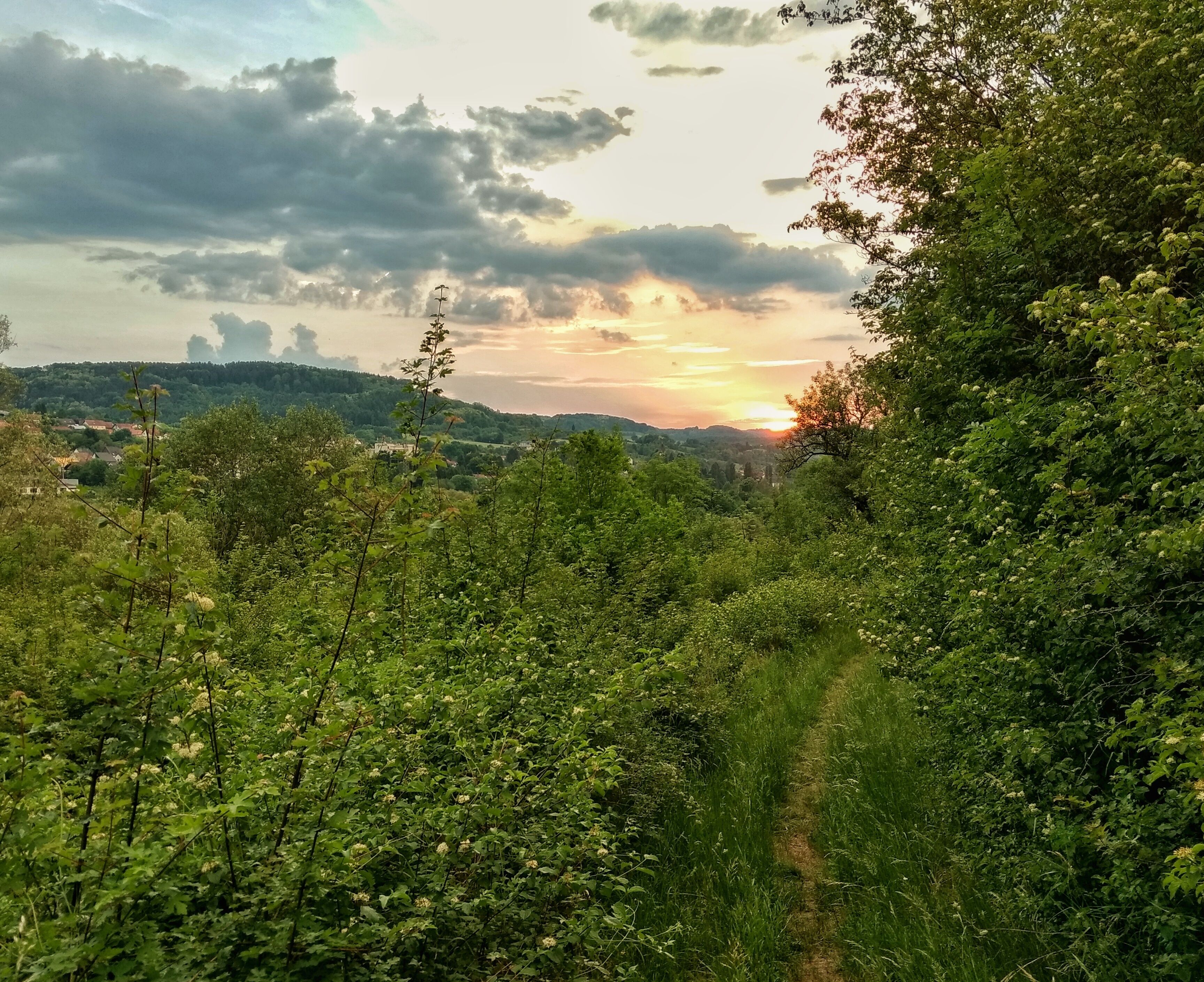 Pfad von Saarwellingen nach Menningen