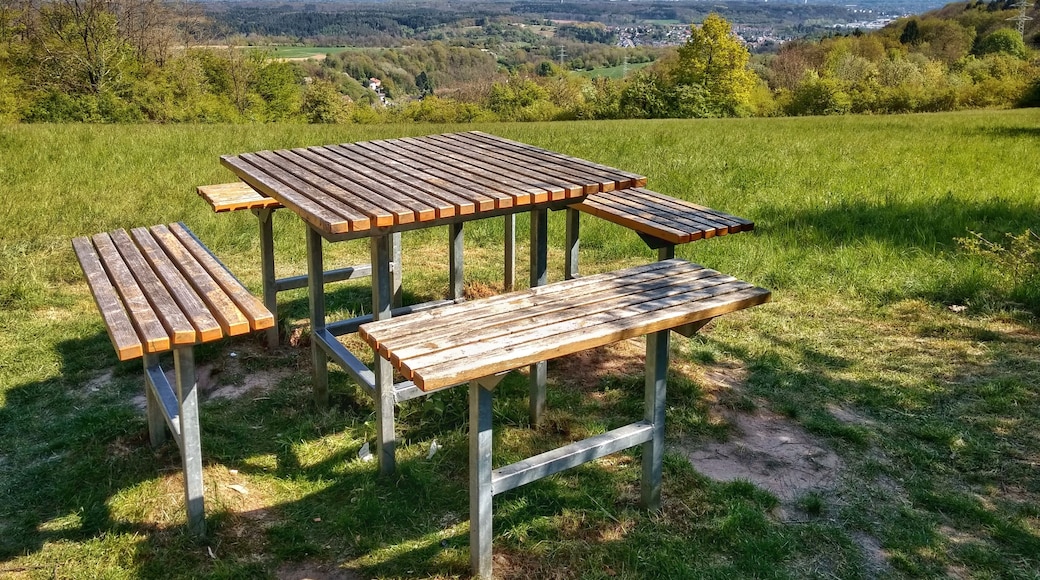 Ausblick am Wanderweg Saarblicke