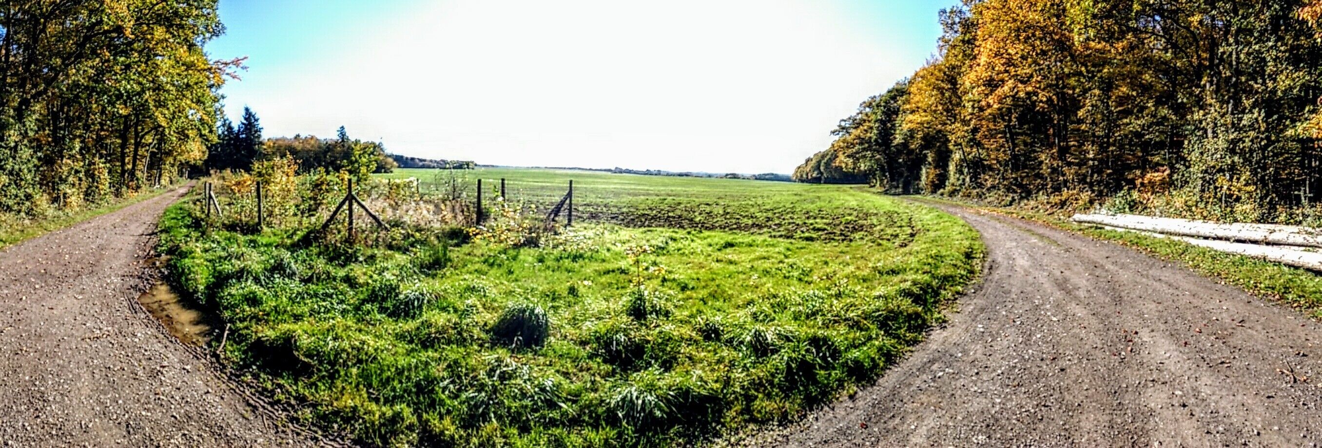 Zwischen Hargarten und Merzig