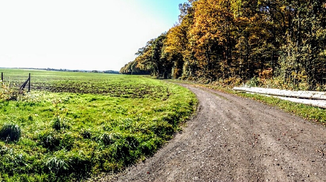 Zwischen Hargarten und Merzig