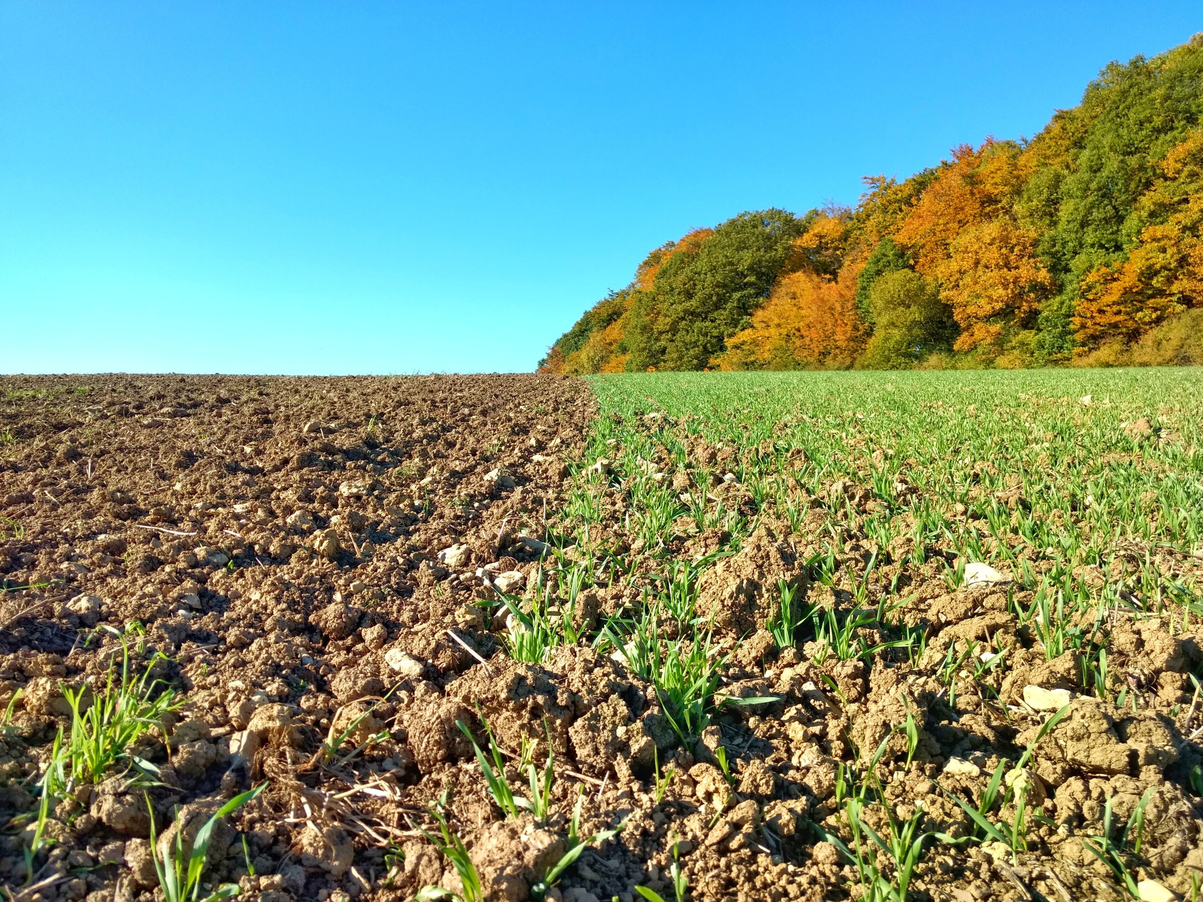 Zwischen Hargarten und Merzig
