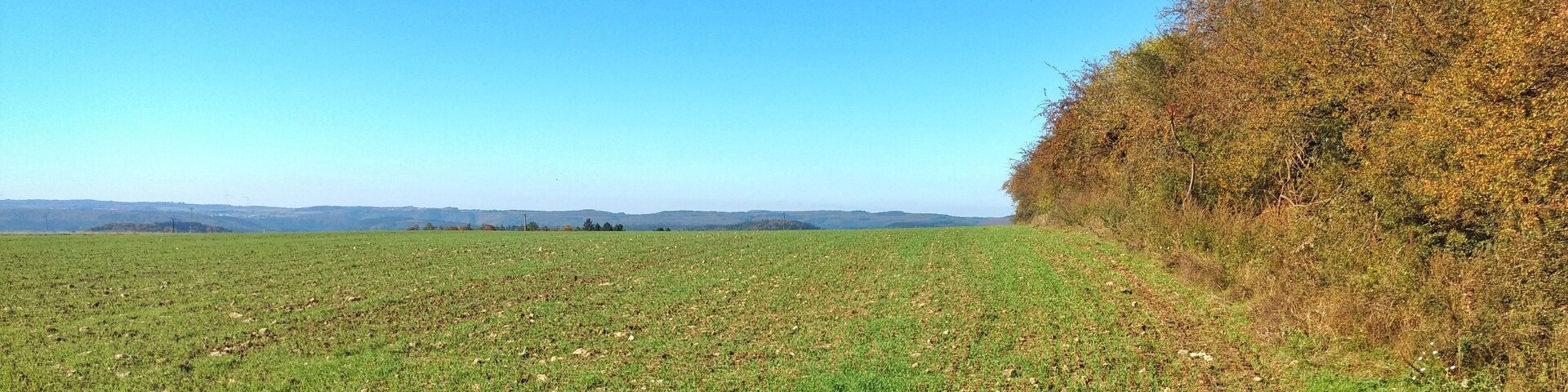 Un extenso campo abierto con cielo azul despejado y colinas al lejano horizonte.