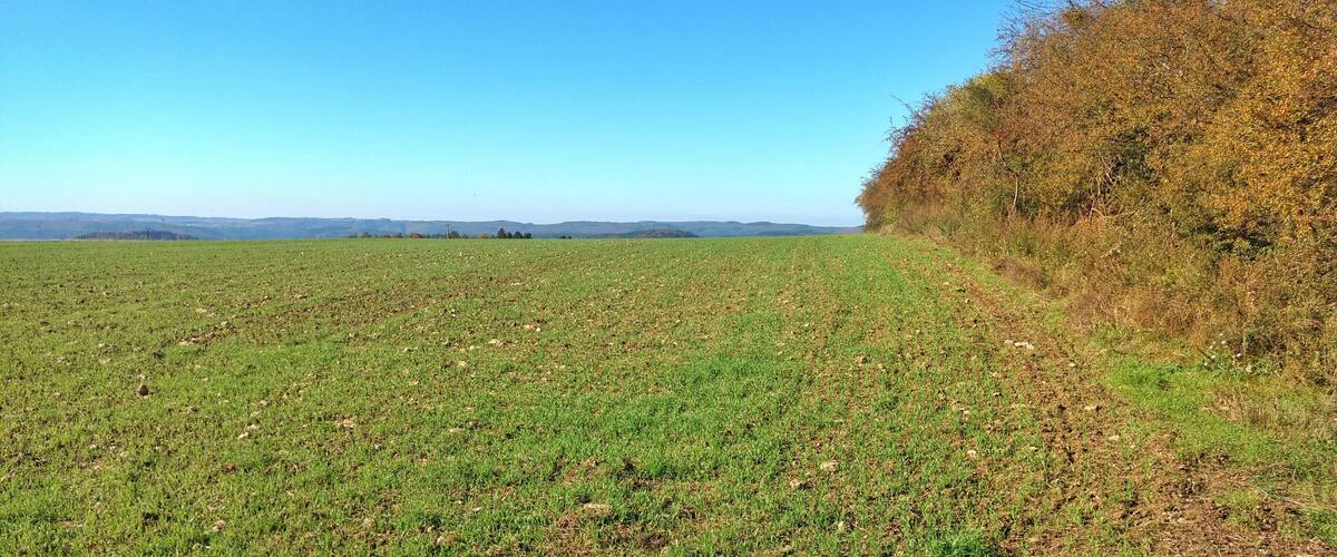 A vast open field with a clear blue sky and distant hills.