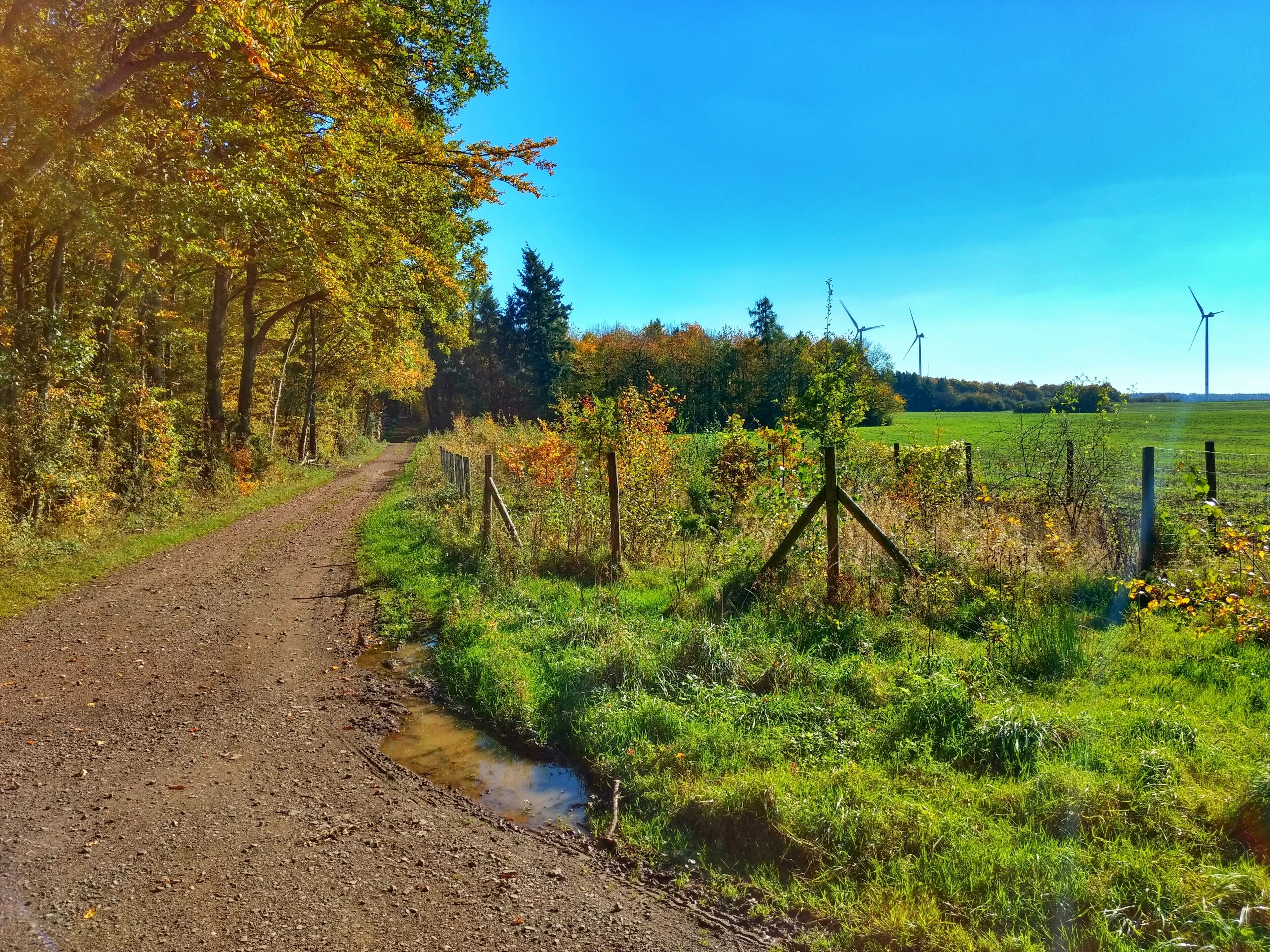 Zwischen Hargarten und Merzig