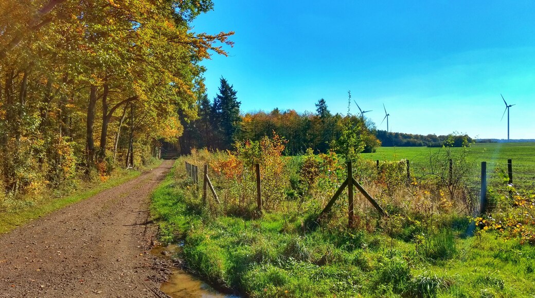 Zwischen Hargarten und Merzig