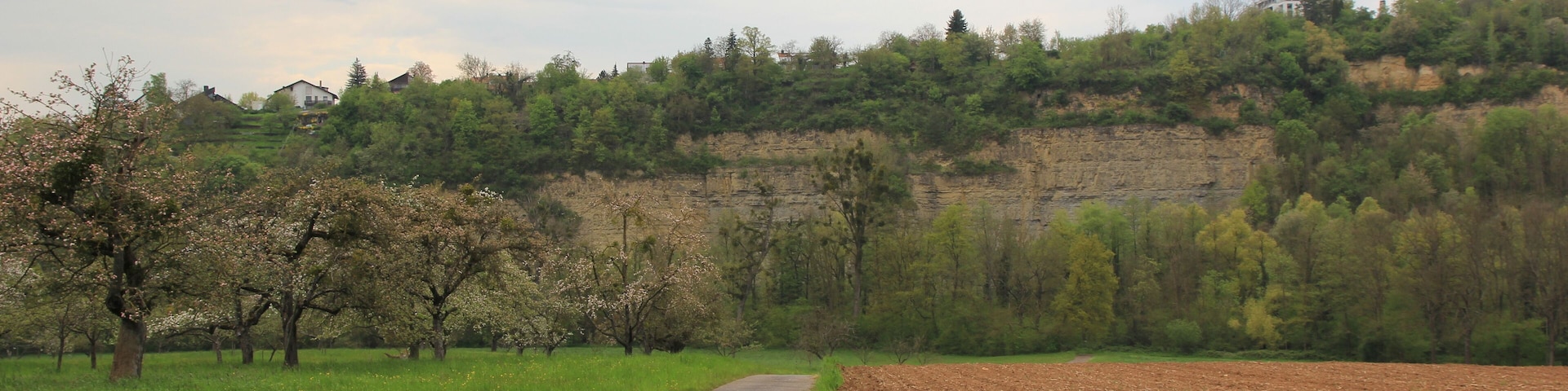 Blick zum Naturschutzgebiet „Unteres Remstal“ (Bäume an der Rems etwa in der Bildmitte) in Remseck; Streuobstwiese und Acker im Vordergrund und Steinbruch im Hintergrund im Landschaftsschutzgebiet „Unteres Remstal mit Randgebieten“
