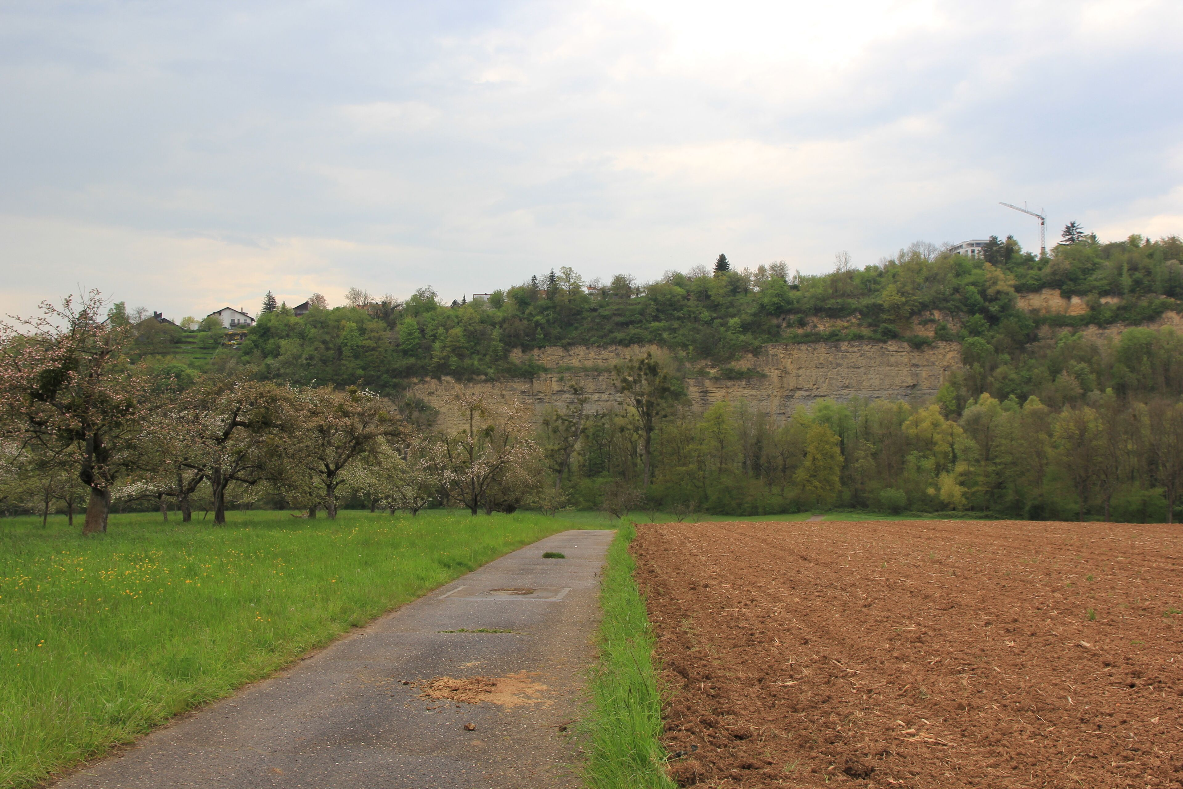 A rural road with a field on one side and a forested hill on the other.