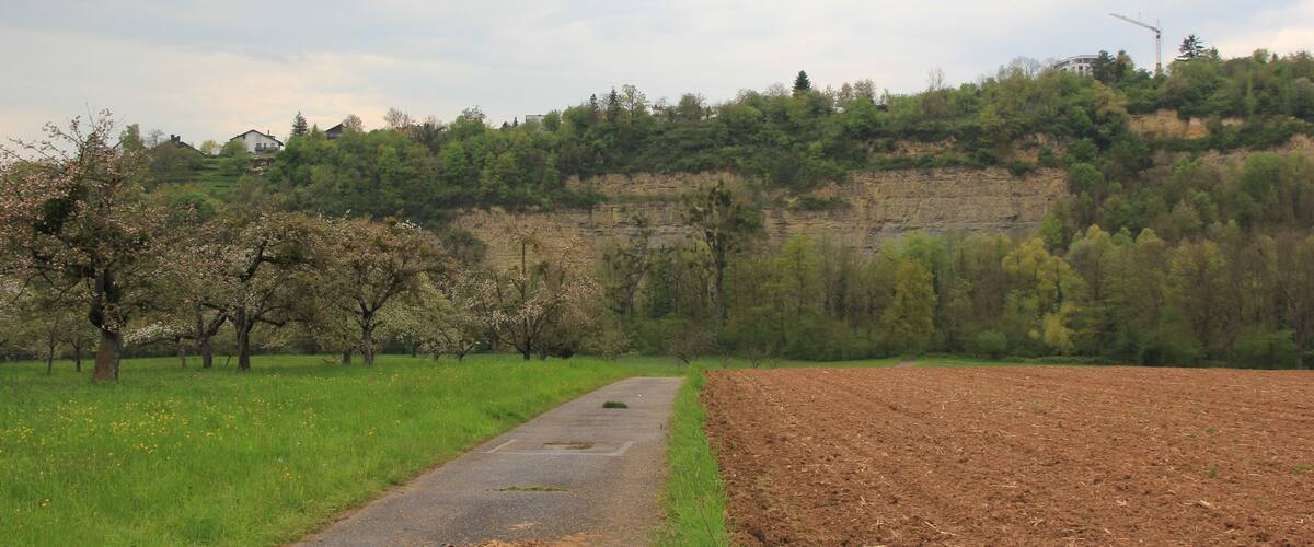 A rural road with a field on one side and a forested hill on the other.