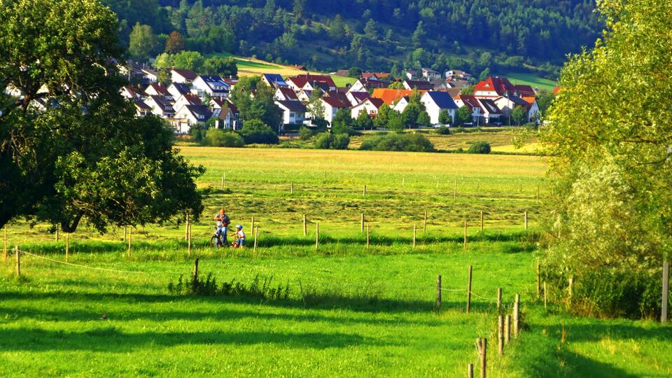 A rural landscape with a green field, a row of houses with red roofs, and a tree in the foreground.