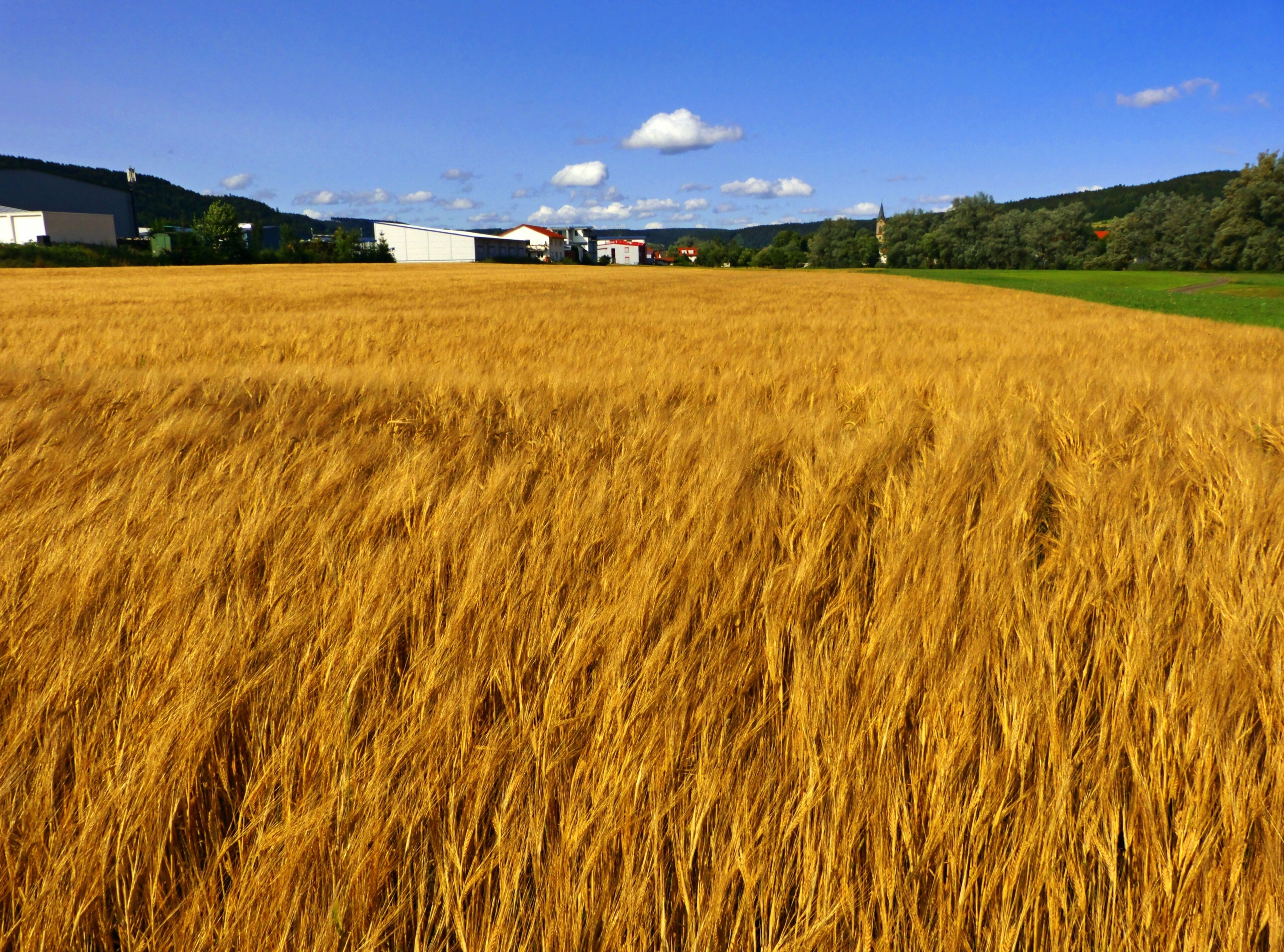 Field And Clouds