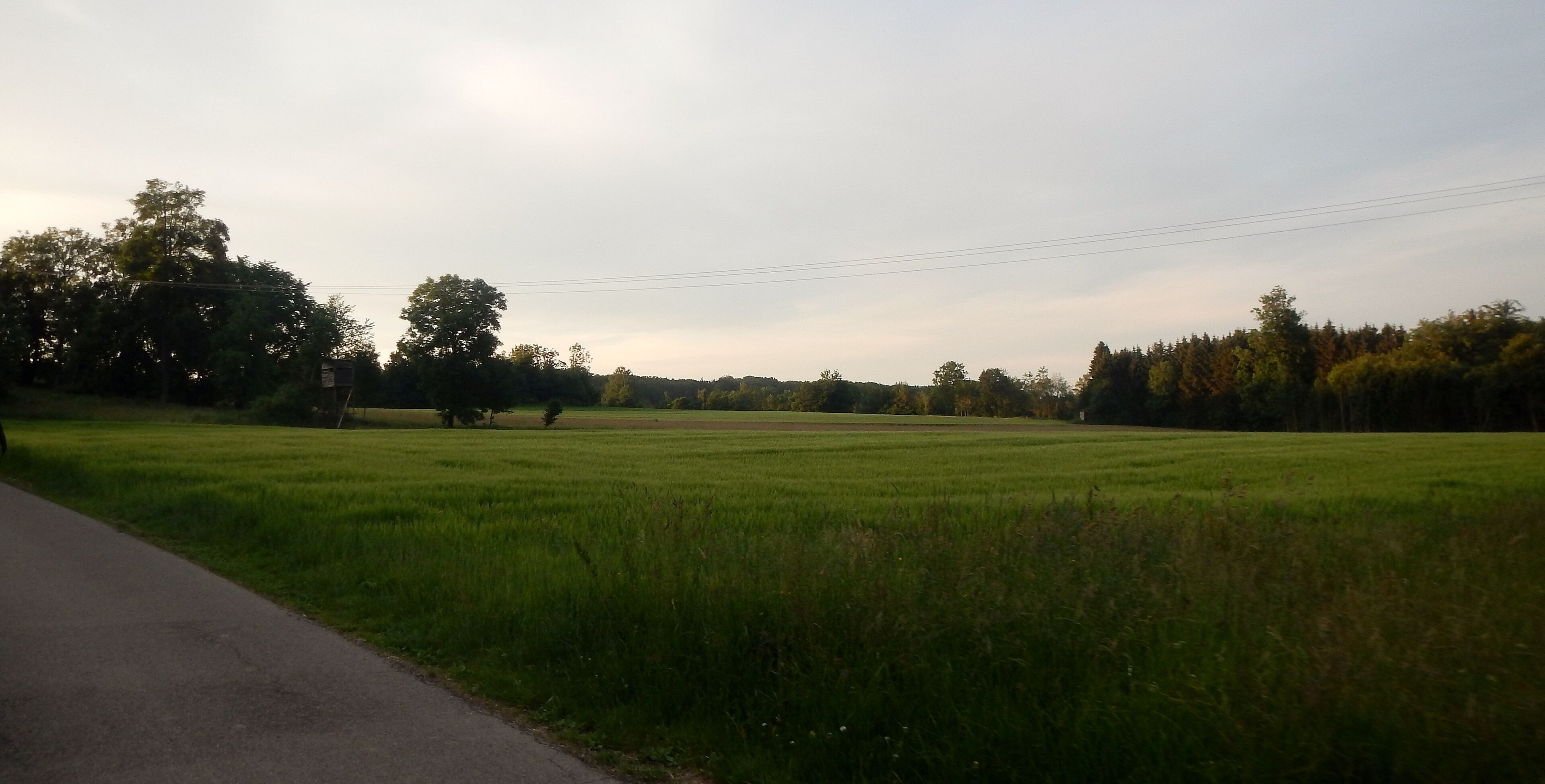 A rural landscape with a paved road, green fields, and trees.