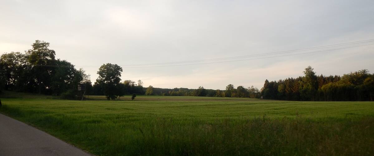 A rural landscape with a paved road, green fields, and trees.