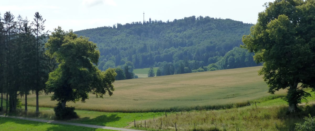 A rural landscape with a road, green fields, and a hill with trees.