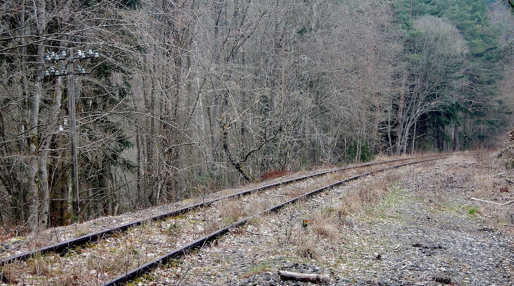 Hermann-Hesse-Bahn, S-Bahn Fertigstellung spätestens 2019 geplant , ehemalig: Württembergische Schwarzwaldbahn, Stuttgart Calw, eröffnet 1872, eingestellt 1983