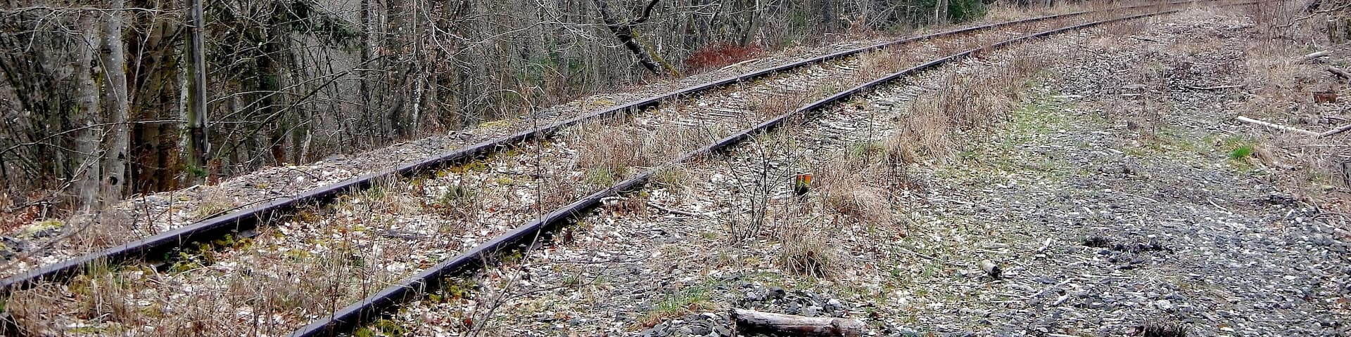 Hermann-Hesse-Bahn, S-Bahn Fertigstellung spätestens 2019 geplant , ehemalig: Württembergische Schwarzwaldbahn, Stuttgart Calw, eröffnet 1872, eingestellt 1983