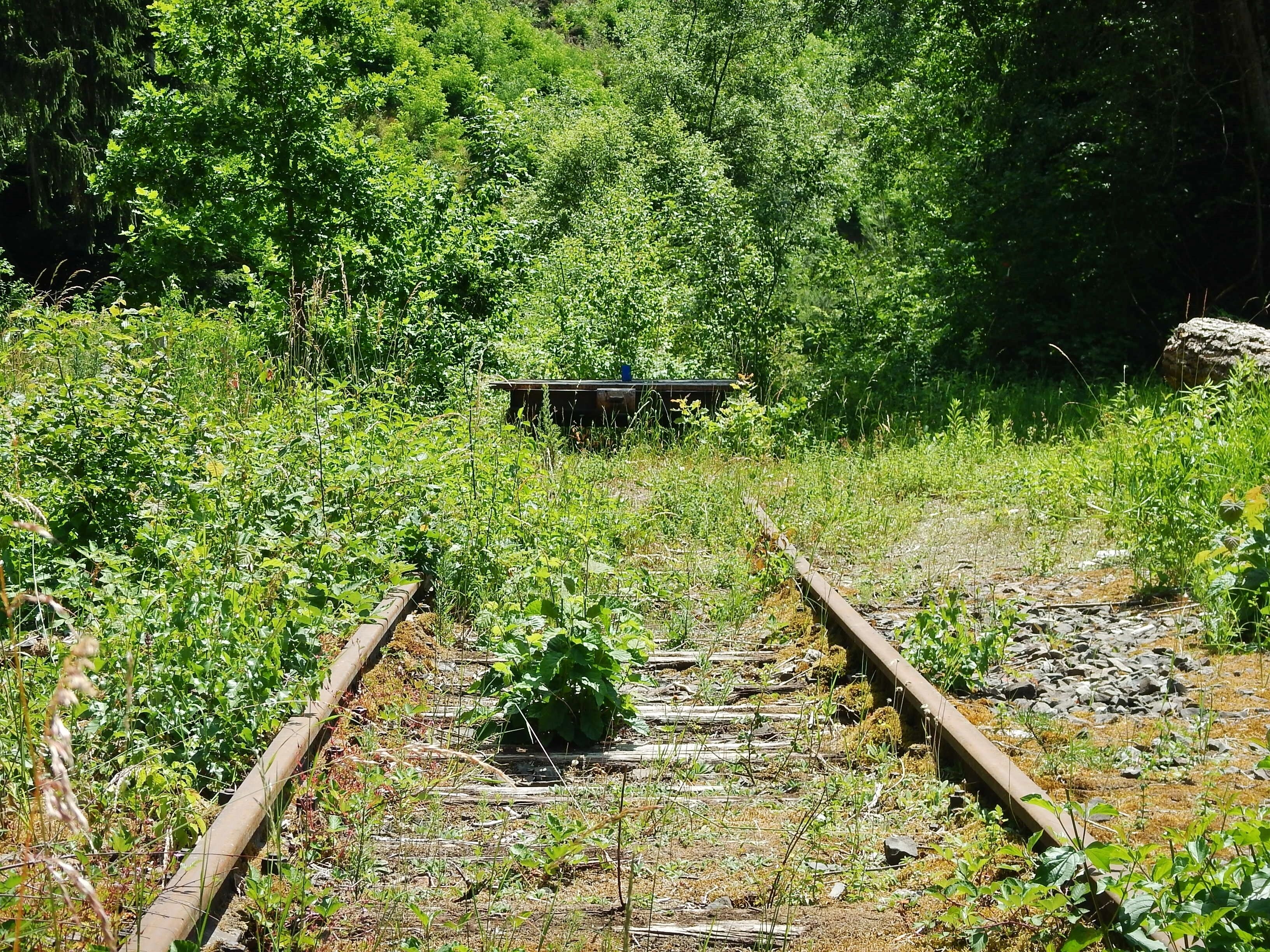 Trasse der zukünftigen Hermann-Hesse-Bahn, in der Fuchsklinge bei Calw-Hirsau