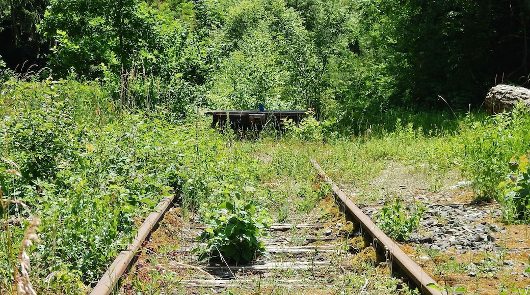 Trasse der zukünftigen Hermann-Hesse-Bahn, in der Fuchsklinge bei Calw-Hirsau
