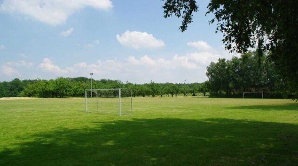 Sportplatz - Ottmarsheim