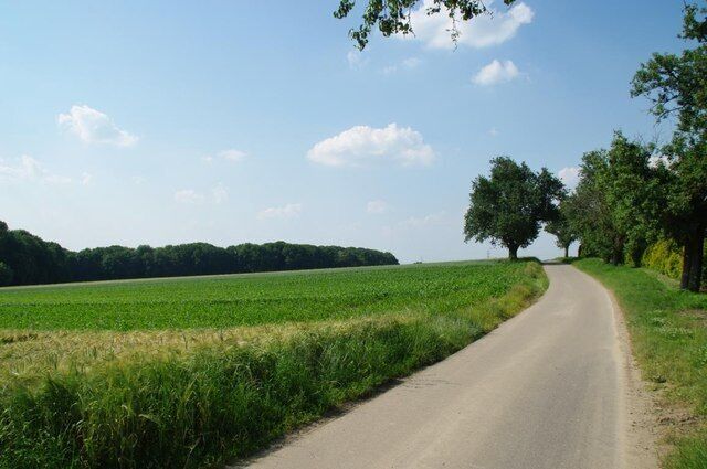 A rural road flanked by fields and trees under a clear sky.