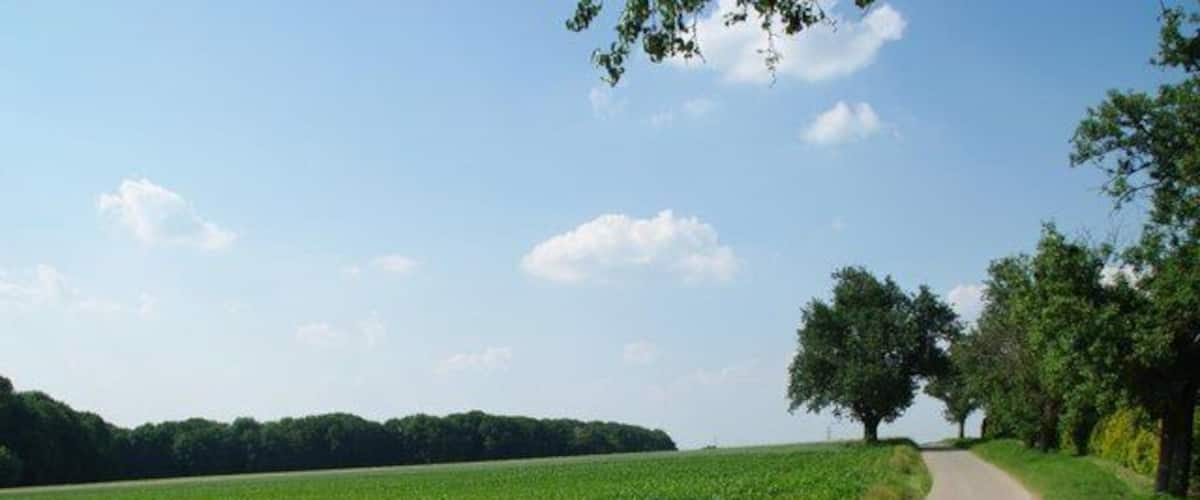 A rural road flanked by fields and trees under a clear sky.