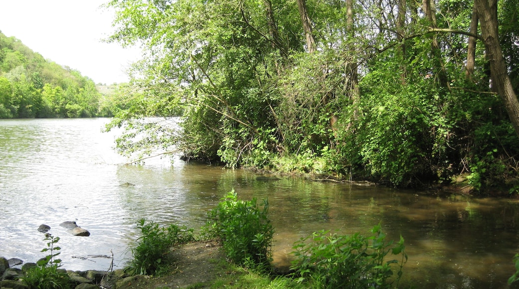 MĂŒndungsbereich des Zipfelbach in den Neckar beim Stadtteil Poppenweiler der Stadt Ludwigsburg im Landkreis Ludwigsburg in Baden-WĂŒrttemberg