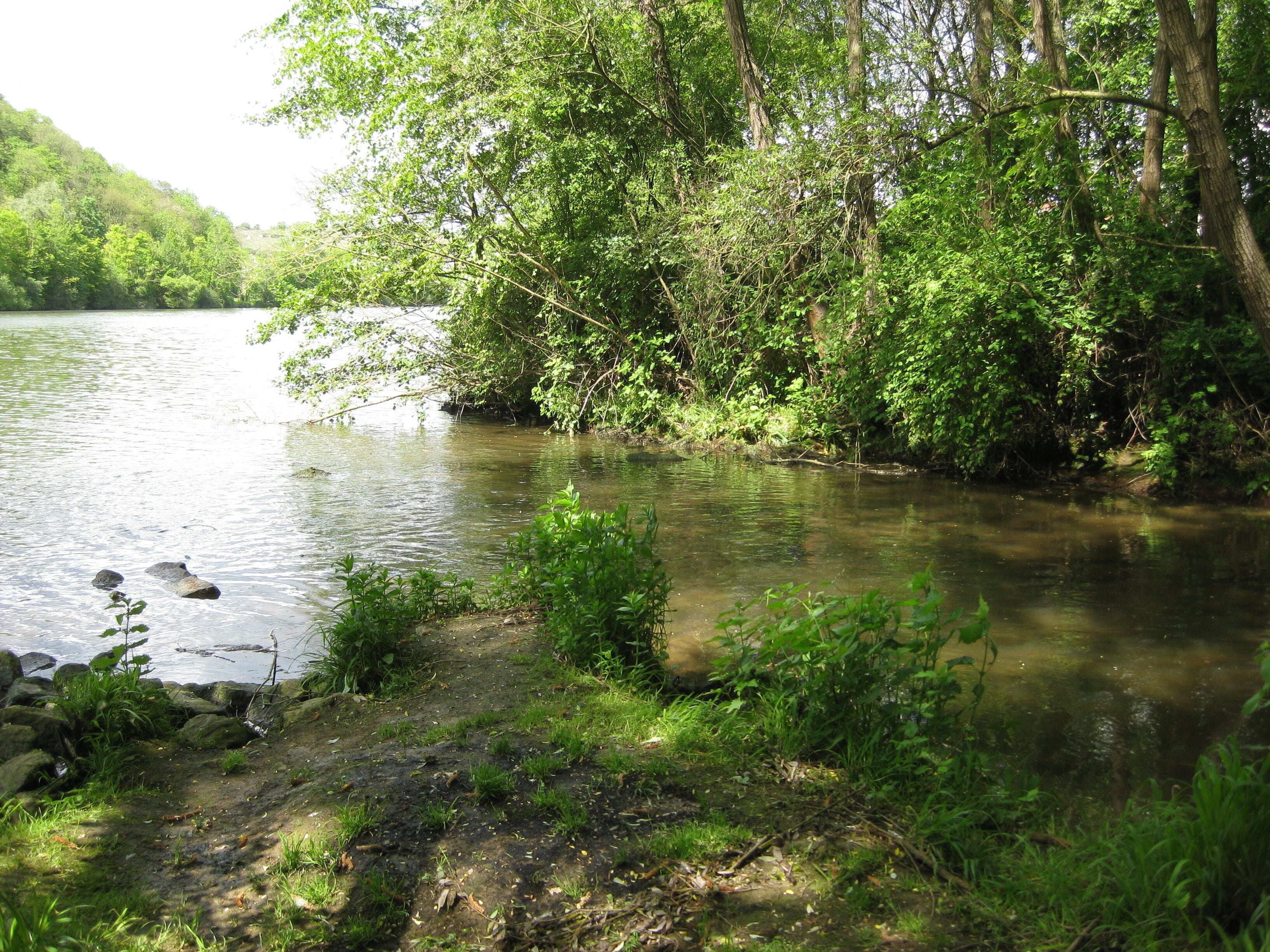 A calm river surrounded by dense greenery and trees.