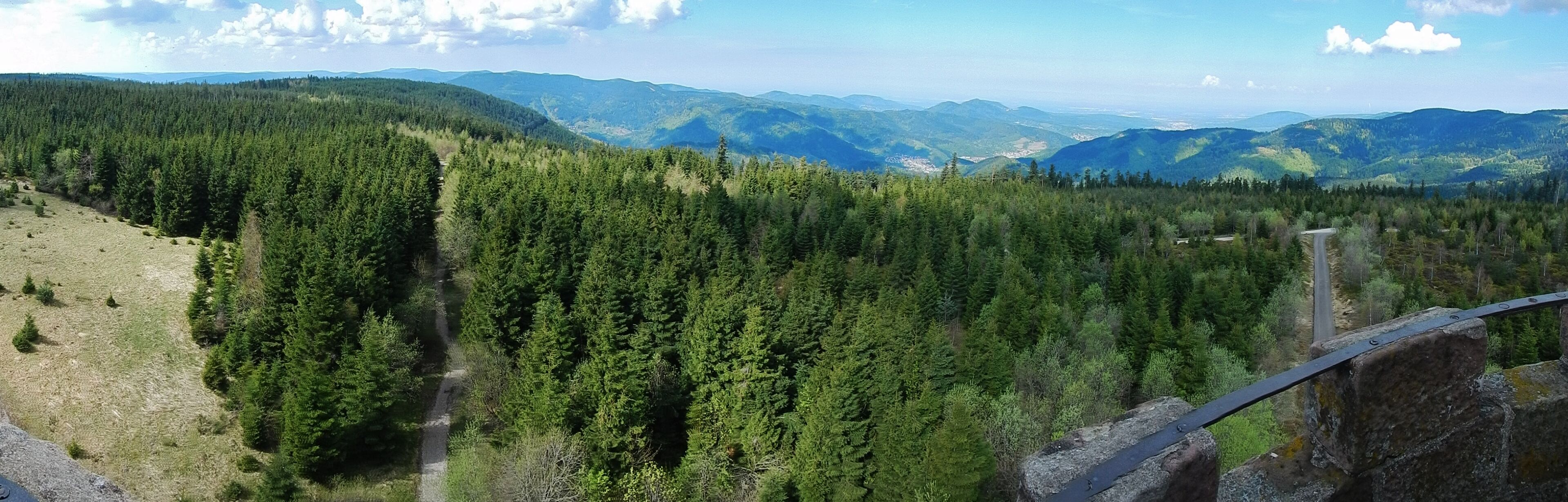 Ausblick vom Hohlohturm (Kaiser-Wilhelm-Turm)