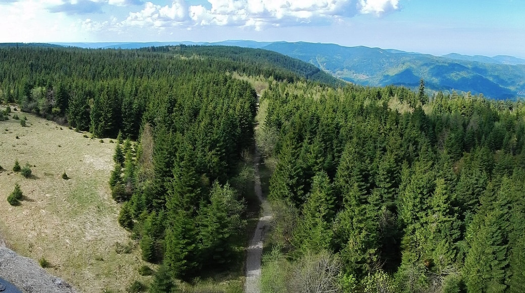 Ausblick vom Hohlohturm (Kaiser-Wilhelm-Turm)