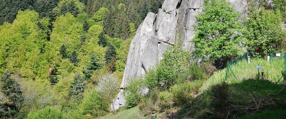Reichental, Orgelfelsen: Granit, maximale Felshöhe: 40 m