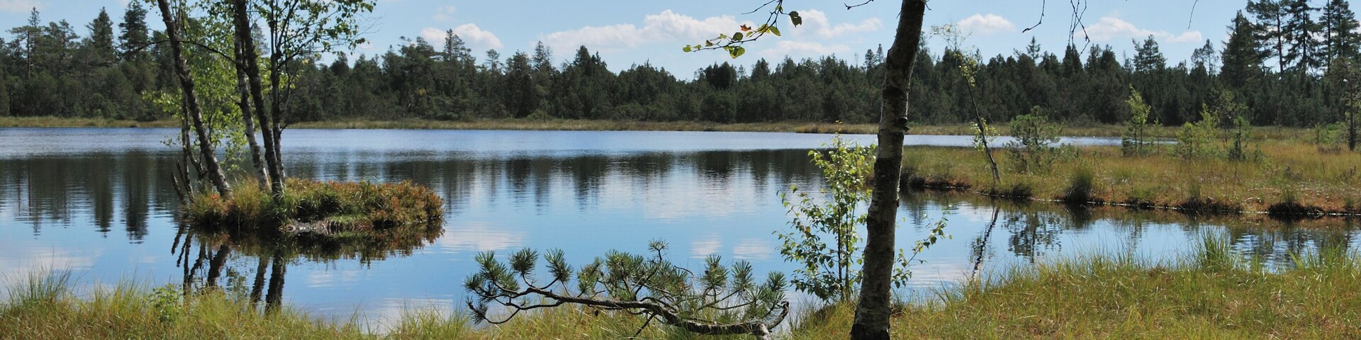 The Wildsee near Bad Wildbad in northern Black Forest in Germany.