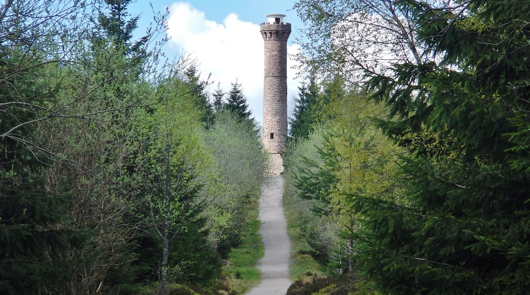 Blick zum Hohlohturm (Kaiser-Wilhelm-Turm)