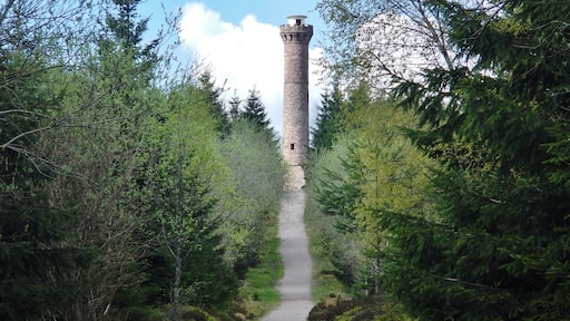 Blick zum Hohlohturm (Kaiser-Wilhelm-Turm)