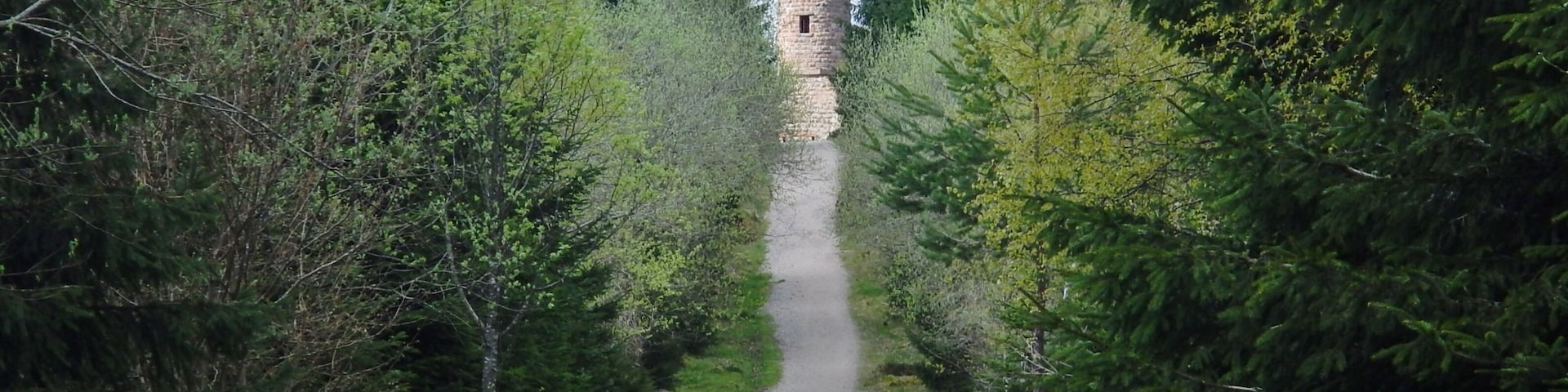 Blick zum Hohlohturm (Kaiser-Wilhelm-Turm)