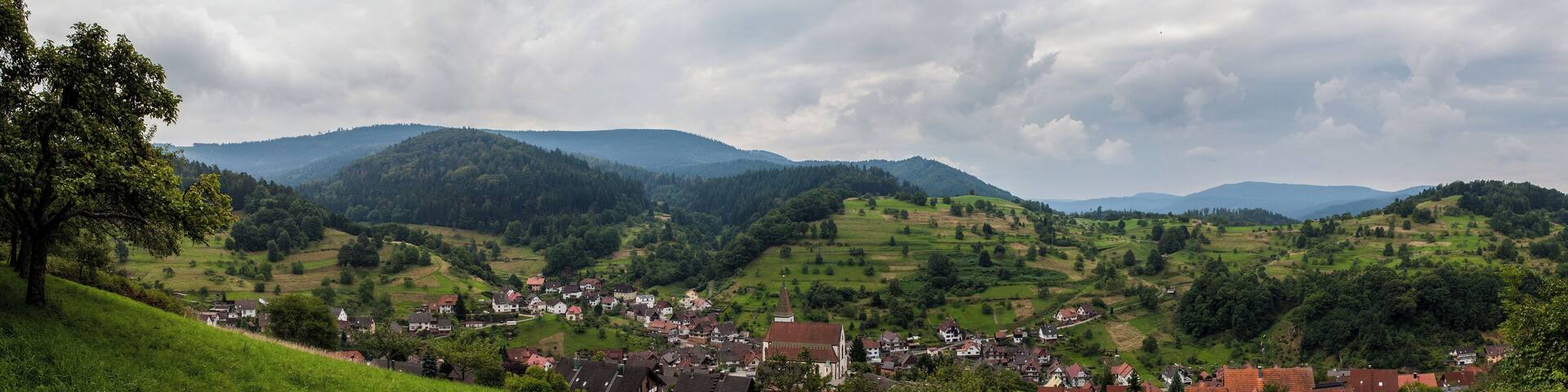 Panoramablick ĂŒber Reichental aus Richtung Norden
