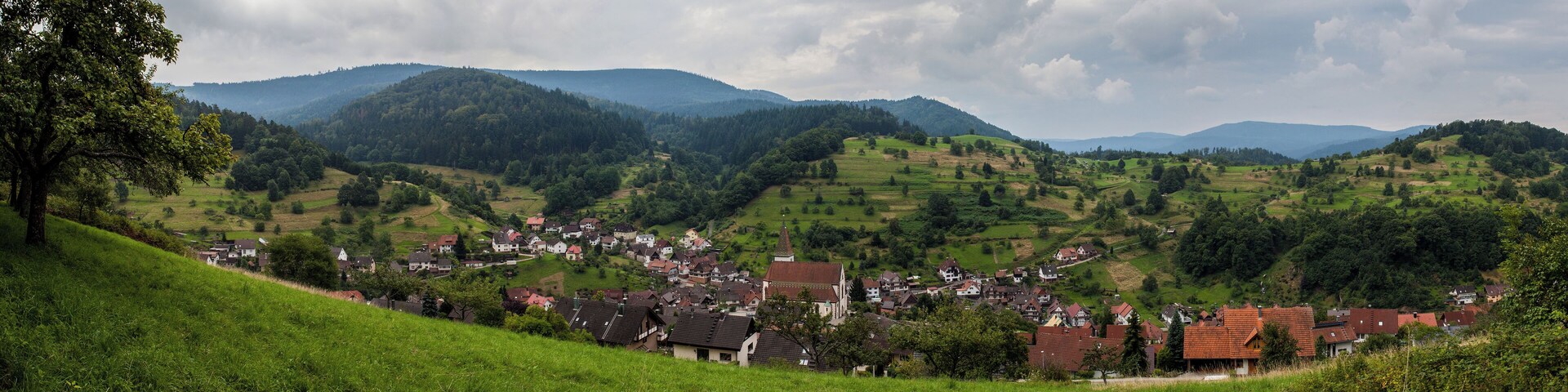 Panoramablick über Reichental aus Richtung Norden