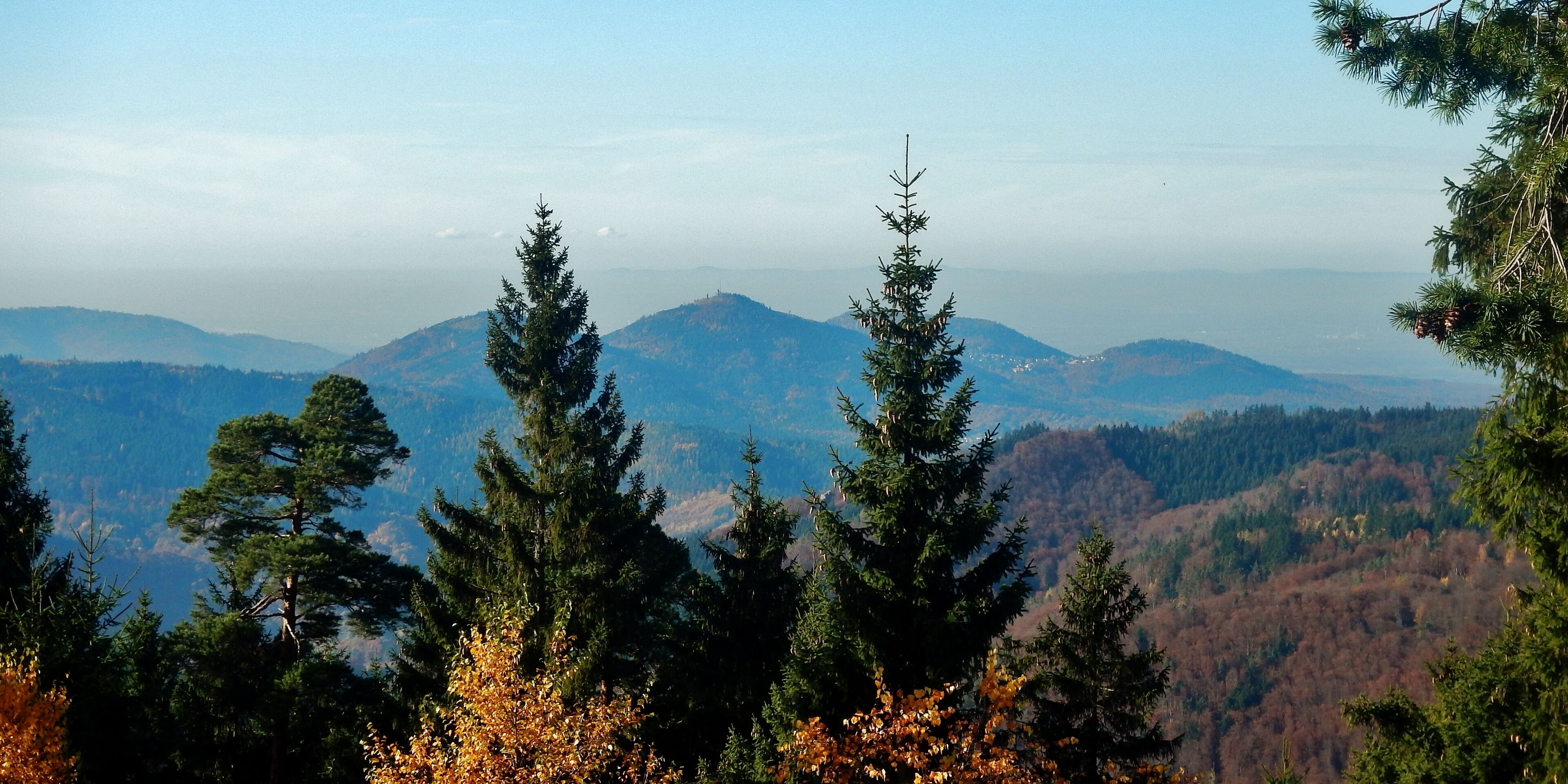 Ausblick Richtung Murgtal und Baden-Baden