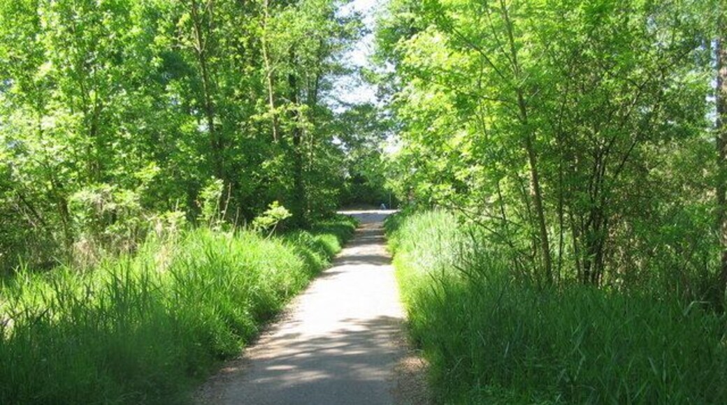Im Elfmorgenbruch in Karlsruhe