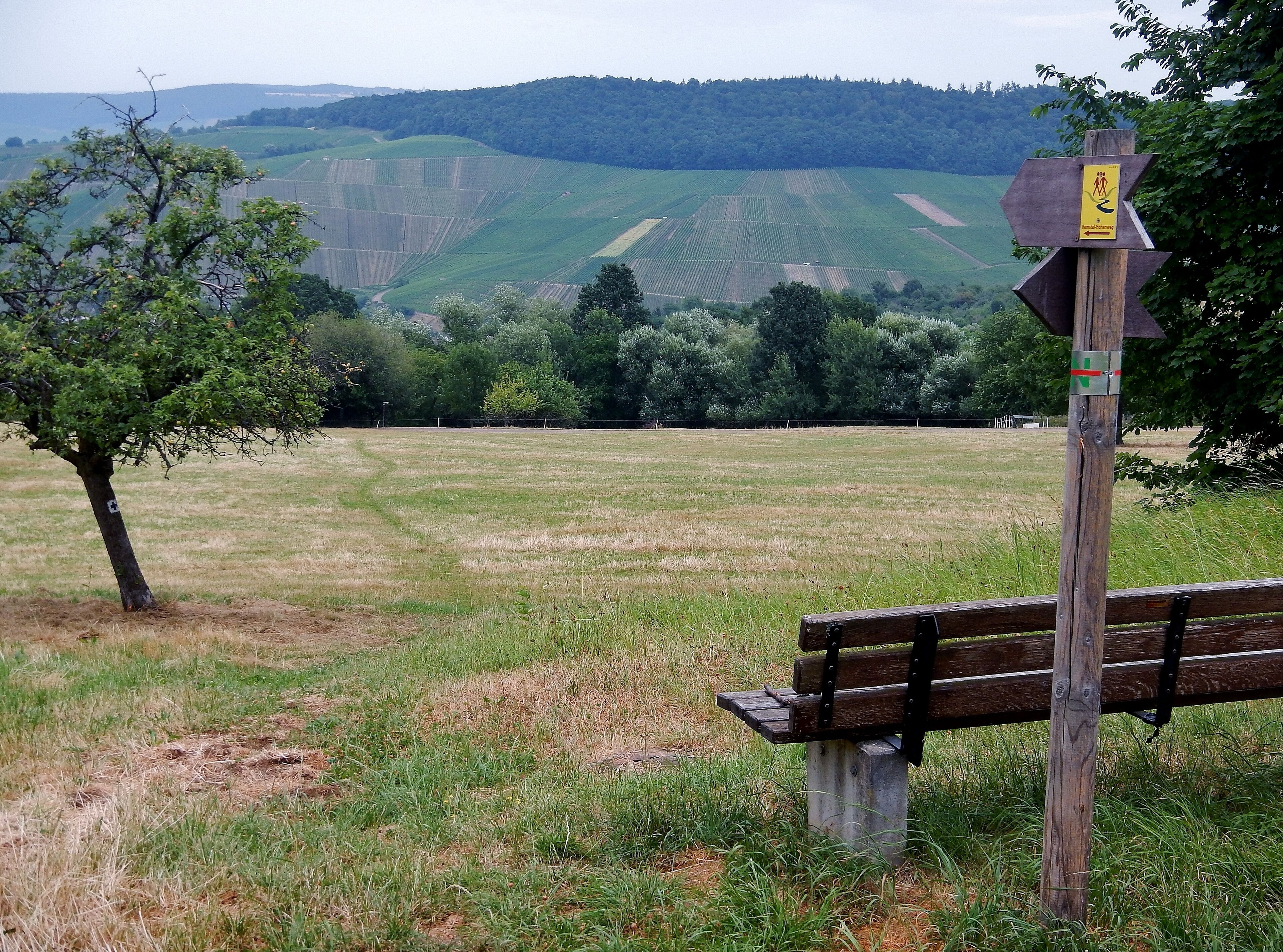 A grassy field with a wooden bench and a directional signpost.