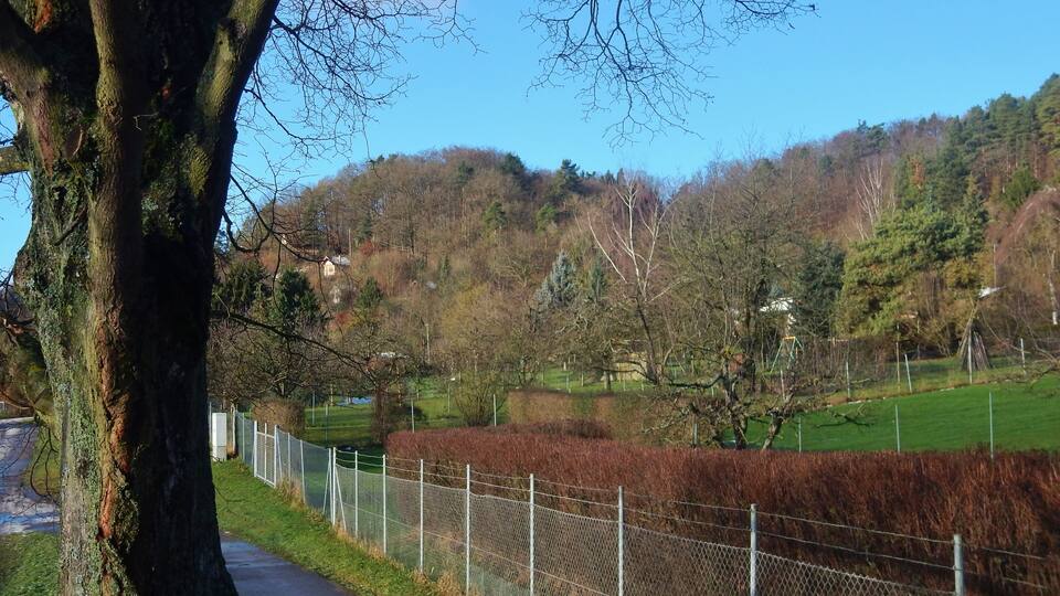 A rural road with a tree on the left, a chain-link fence, and a hilly landscape with houses in the background.