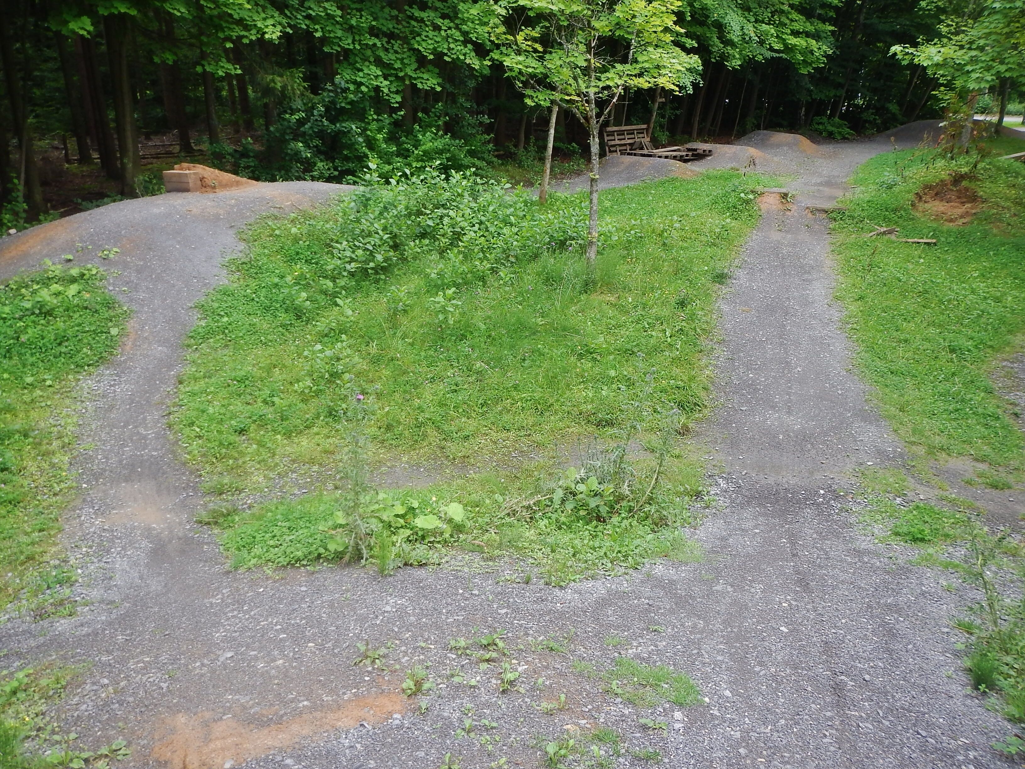 MTB-Parcour in Warmbronn