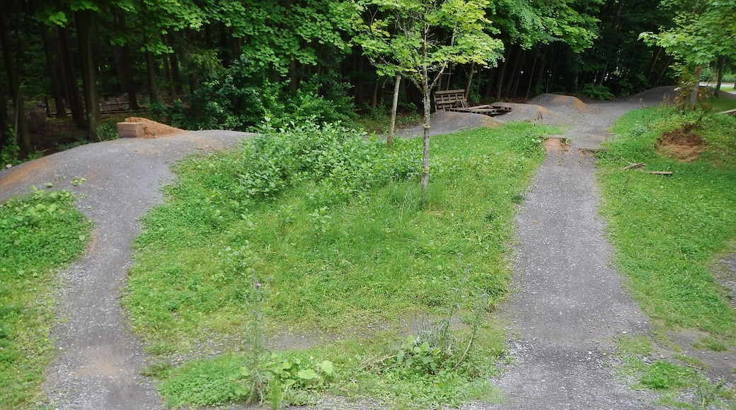 MTB-Parcour in Warmbronn