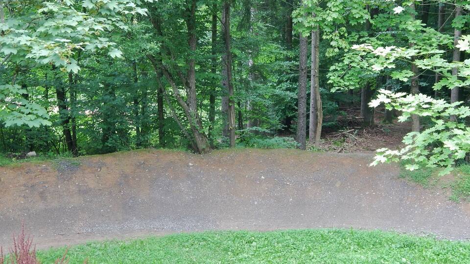 A dirt path surrounded by dense green foliage and trees.