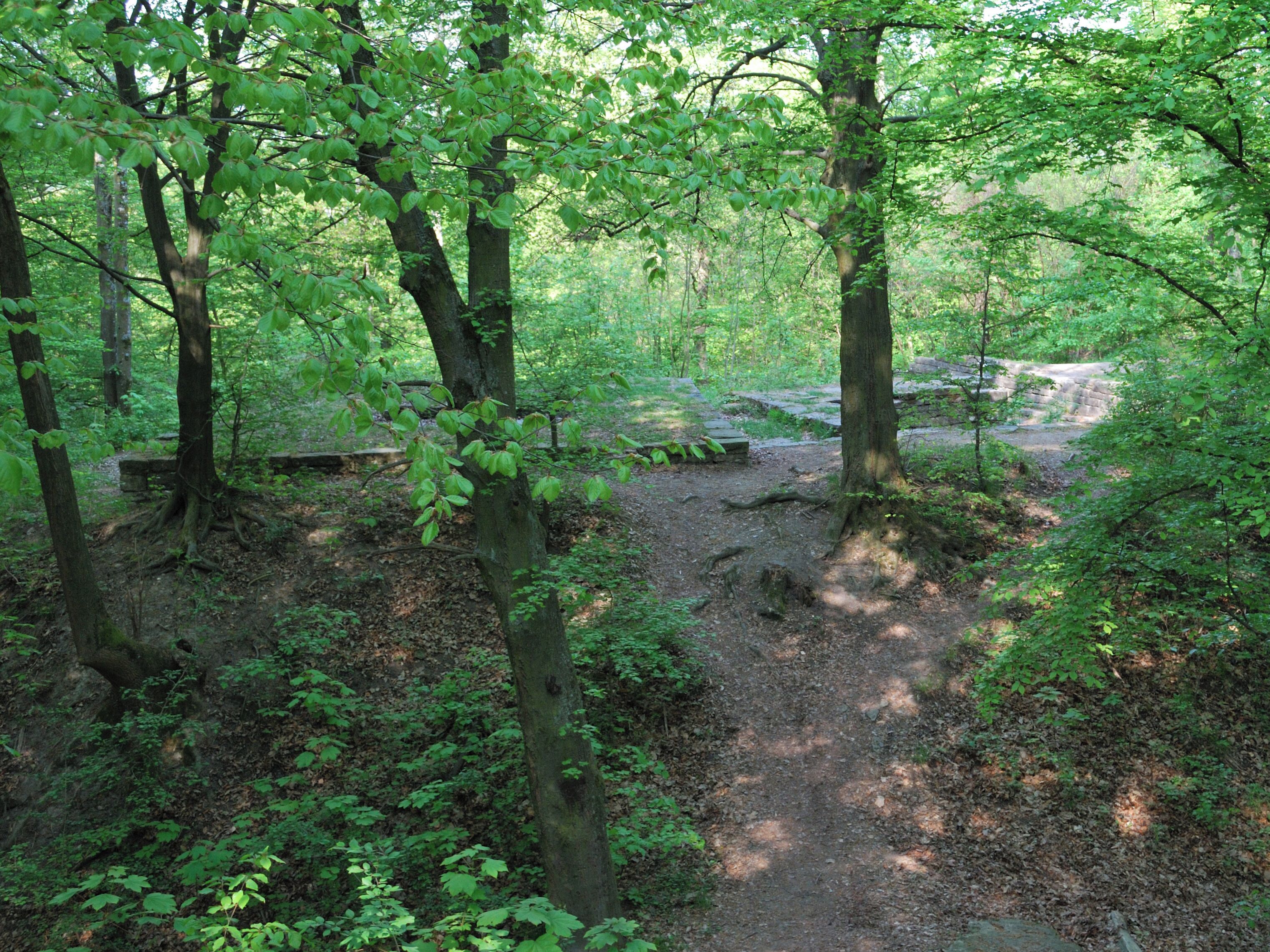 Ruins of the castle Dischingen in Weilimdorf, a district of the city Stuttgart in Southern Germany.