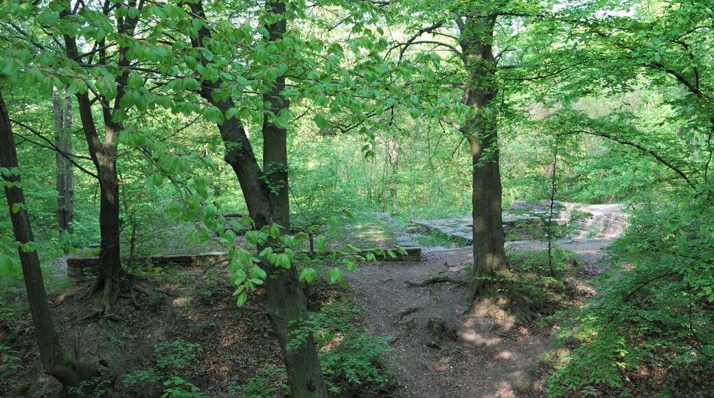 Ruins of the castle Dischingen in Weilimdorf, a district of the city Stuttgart in Southern Germany.