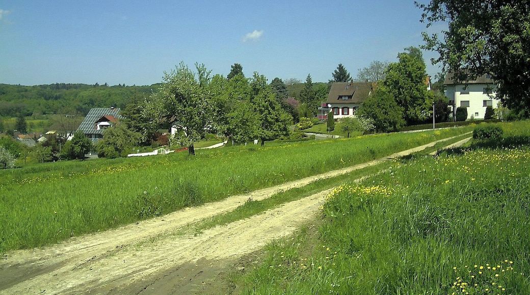 May Windenreute Panorama