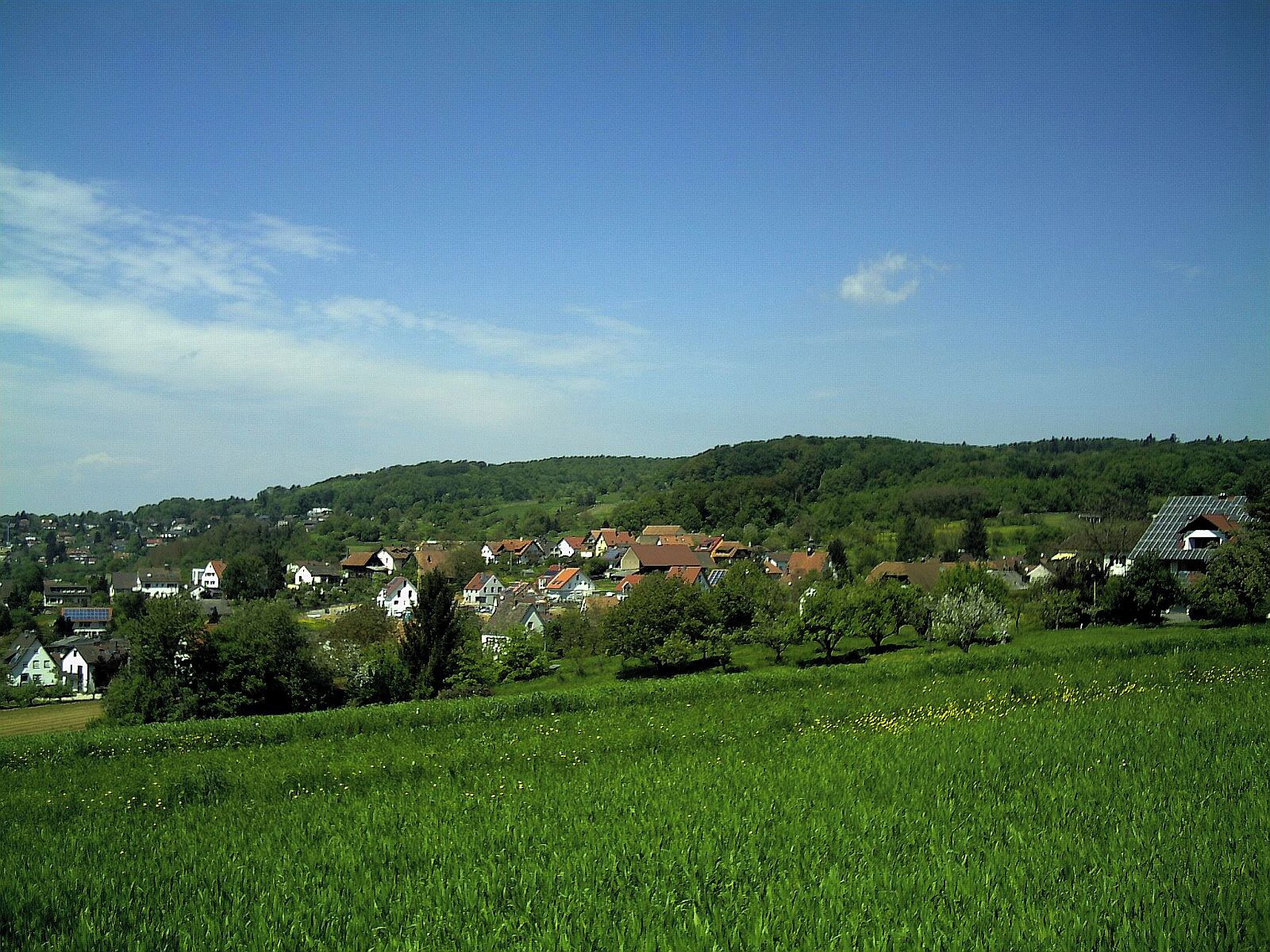 Windenreute Panorama
